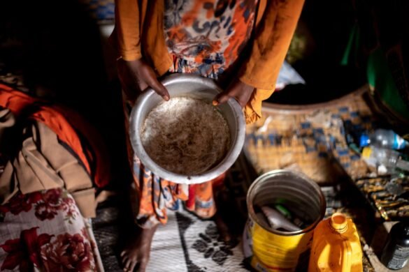 medcare 360 global hunger, medcare 360 UN hunger report, medcare 360 food insecurity, medcare 360 Africa hunger rise, medcare 360 Asia hunger crisis, medcare 360 malnutrition trends, medcare 360 sustainable food, medcare 360 global nutrition, medcare 360 FAO report, medcare 360 world hunger analysis